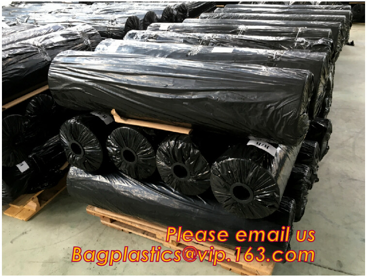 Transparent / Black / Silver / White color Plastic PE LDPE Agriculture Mulching Film,panda strawberry mulch film/black w