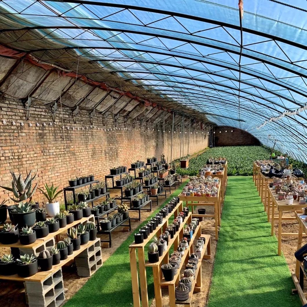 China Origin Flower Planting Drip Irrigation Sunlight Greenhouse