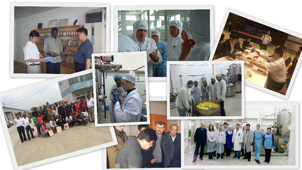 Automatic Extruded Corn Puff Production Line Puff Food Processing Machine