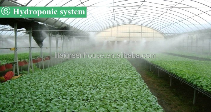 Film Covered Greenhouse for Agriculture in Namibia Affordable and Customizable Height