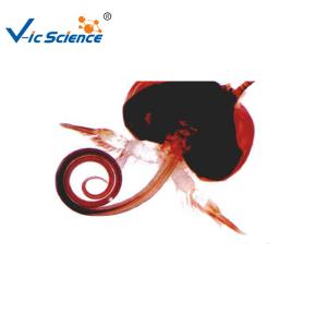  Laboratory Educational 15pcs Microscope Glass Slides Manufactures