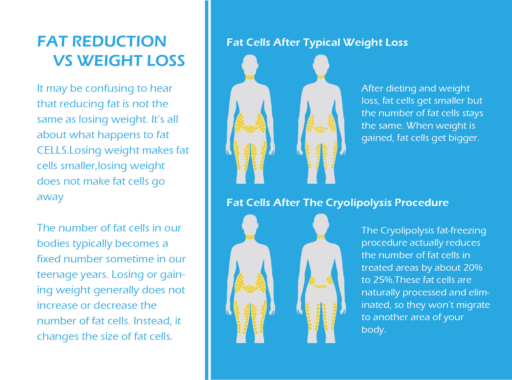 Low Price Cooling RF Weight Loss Body Sculpture Fat Cell Reduction Cryo Freeze Fat Slimming Salon Beauty Equipment