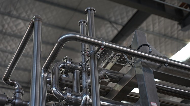 Boost Your Production with Reliable Mango Pulp Line -