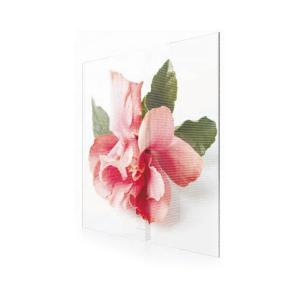  Indoor high-transparent display led screen EXCEL LED Manufactures