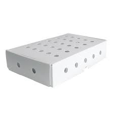 Yellow Asparagus Correx PP Corrugated Box 3.5mm Corflute Storage Boxes