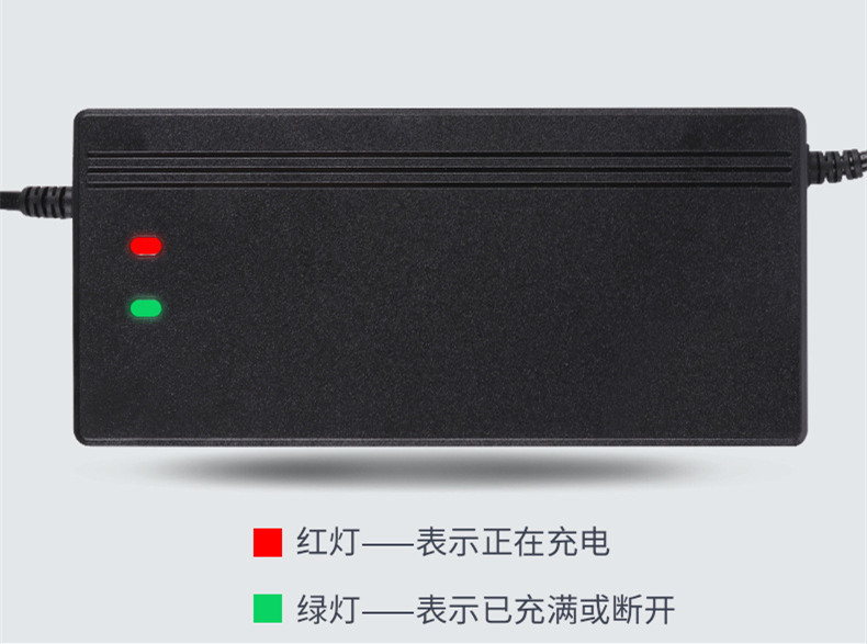 TUV Approval 48v RCA Plug Lithium Battery Charger for Electric Vehicle