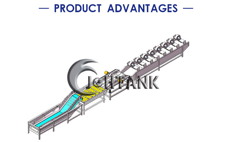 Legume Pomegranate Orange Fruit And Vegetable Cleaning Machine