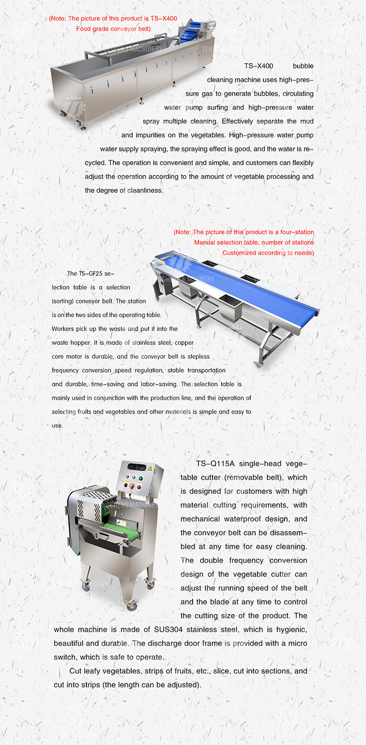 Vegetable Hair Roller Bubble Washing Selection Cutting Machine Production Line