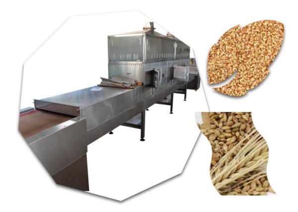 Agricultural Food Sterilization Equipment Food Crops Microwave Sterilization