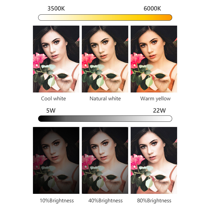 OEM Studio Photo Selfie Makeup Camera Ring Fill Light LED Circle Ring Light With Foldable Tripod Stand