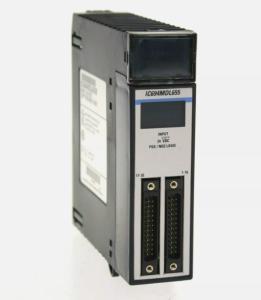  IC694MDL655 GE Input Modules 300mm Net Height Manufactures