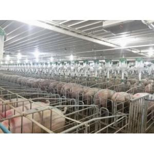 Efficiency and Sustainability in Piggery Farming Prefabricated Modular Building