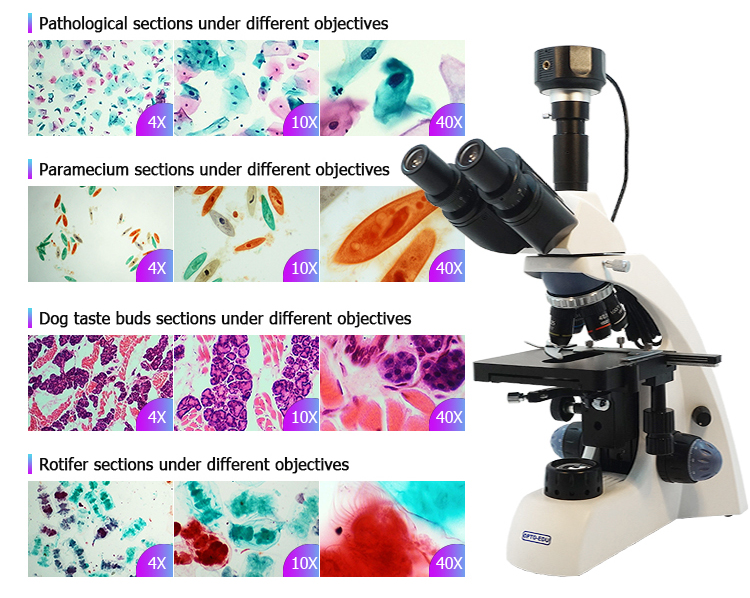 ccd camera for microscope