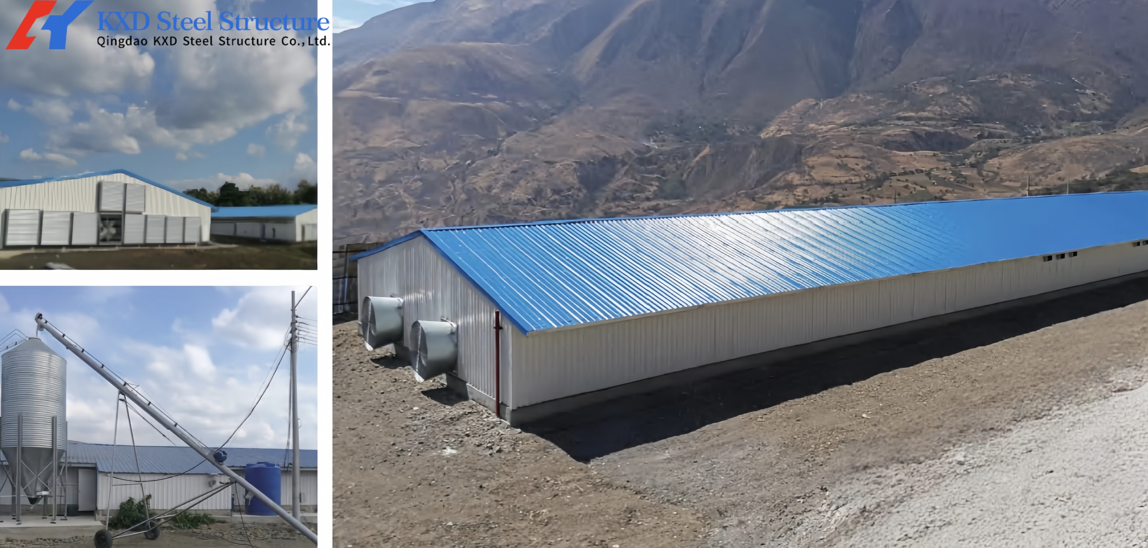Poultry Farm Chicken Feeding Line Automatic Poultry Pan Feeding System
