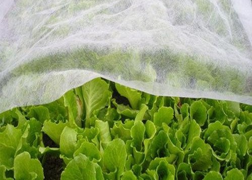Cold - proof , Insect - proof, Heat - insulating Nonwoven Fabrics for Agriculture