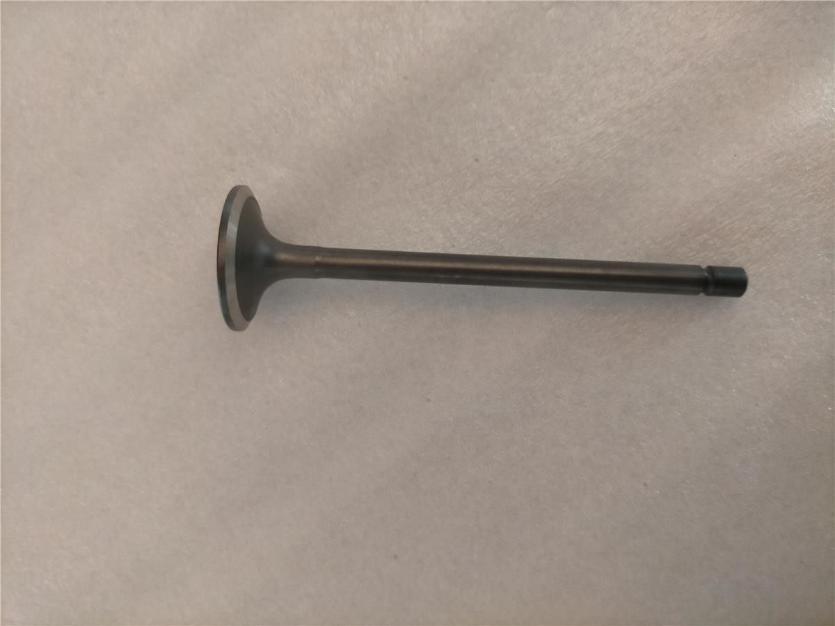 8-94395882-1 8943958821 Intake Valve