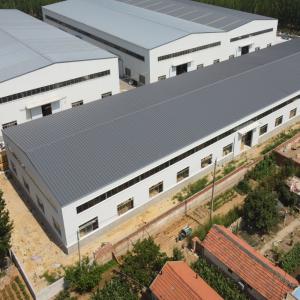 Prefabricated Steel Workshop Building with Daylighting