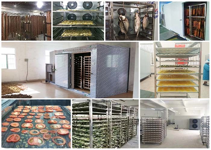 Continuous Food Dehydrator Stainless Steel CBD Hemp Dryer Machine
