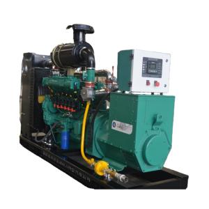 Biogas Generator Natural Gas Generator Set with ATS