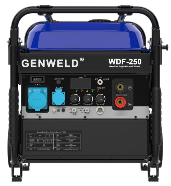 Industrial-purposed Portable Rated 200A /250A Gasoline MMA/Cellulose/TIG Welding