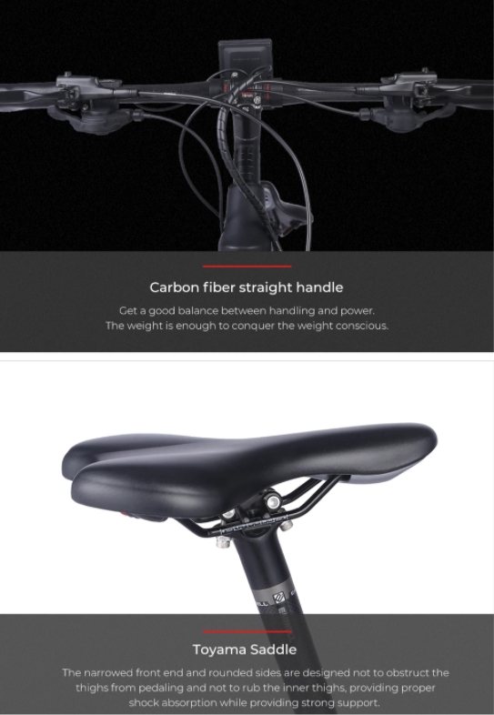 30 - 50Nm Torque Carbon Fibre Electric Mountain Bike With 250W Rear Hub Motor 27 Speed
