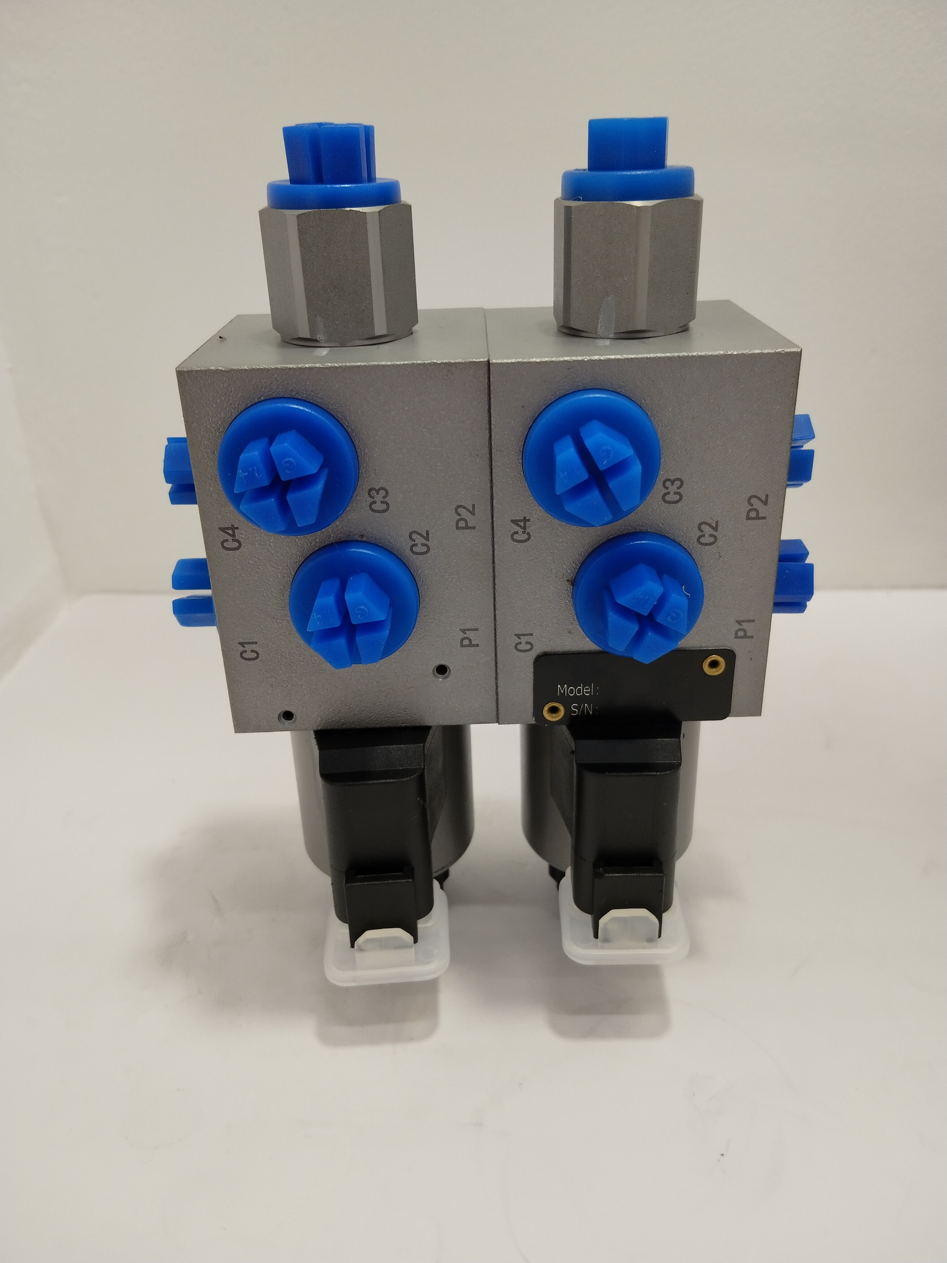 315Bar Industrial Hydraulic Valve 6 Way 2 Position Double Solenoid Valve