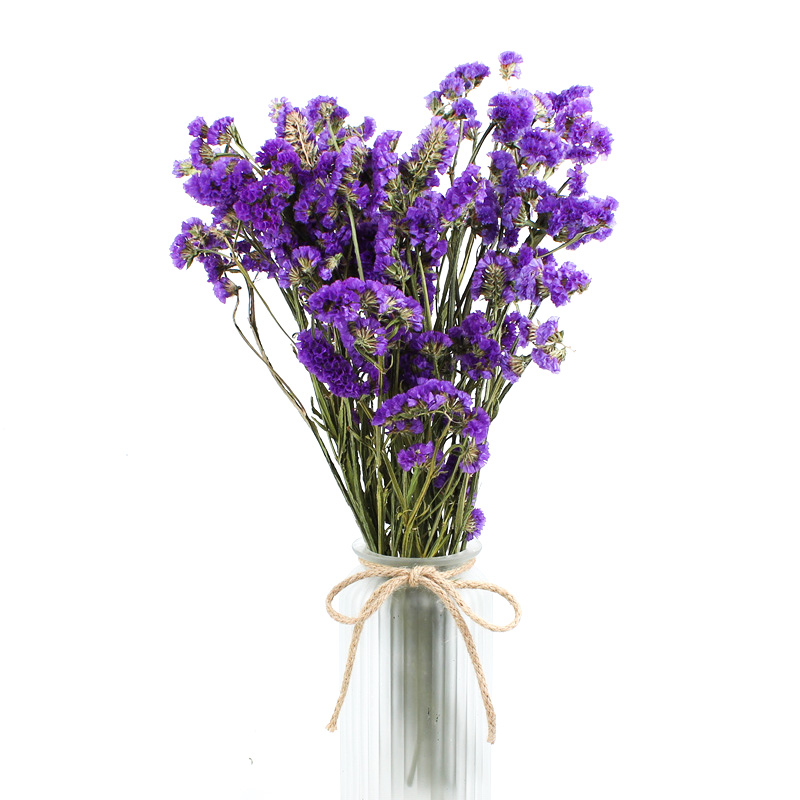 Statice Limonium Beautiful Dried Flowers Beautiful With Long Using Time