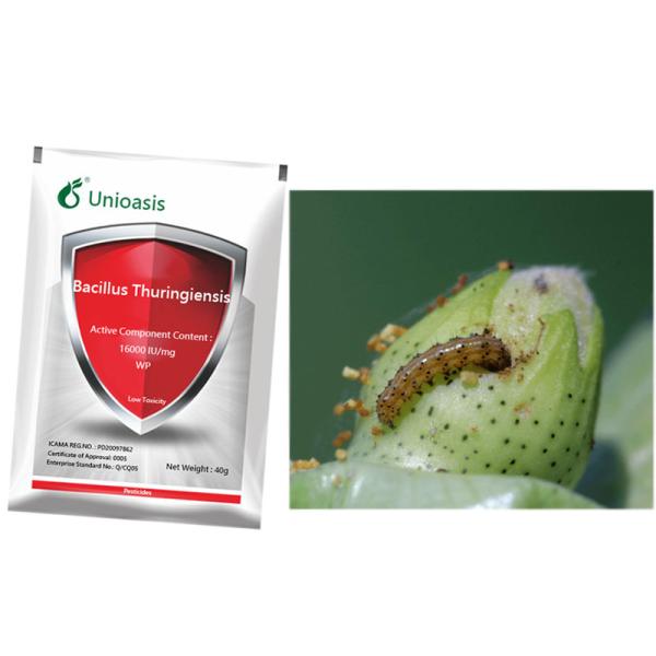 Bacterial Bacillus Thuringiensis Tea Tree Insecticide For Killing Nematode