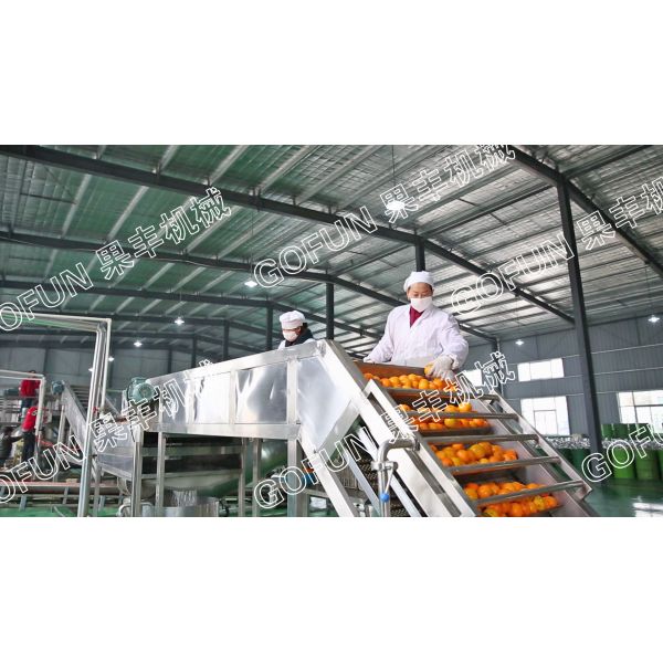 Industrial Citrus Juice and Jam Processing Line Intelligent Cleaning Juice