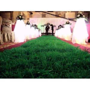 Indoor Artificial Turf Leisure Soft Antibacterial Durable Synthetic Grass