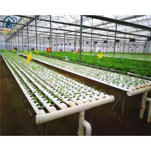 China Agricultural Lettuce Hydroponic Growing System NFT Vertical Hydroponic System on sale