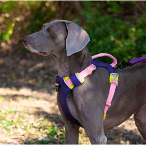 Adjustable Reflective Oxford Large Dog Harness Leash Set With Easy Control