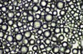 phase changes in solar thermal storage