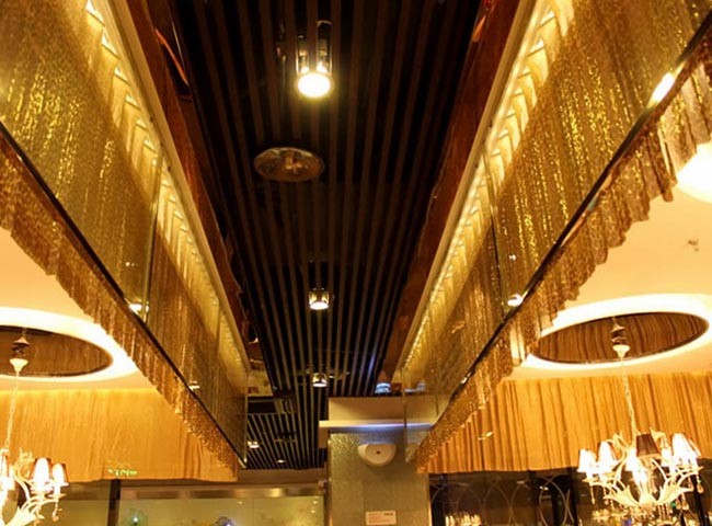 Scale Mesh Curtain with Unique Texture and Bright Surface