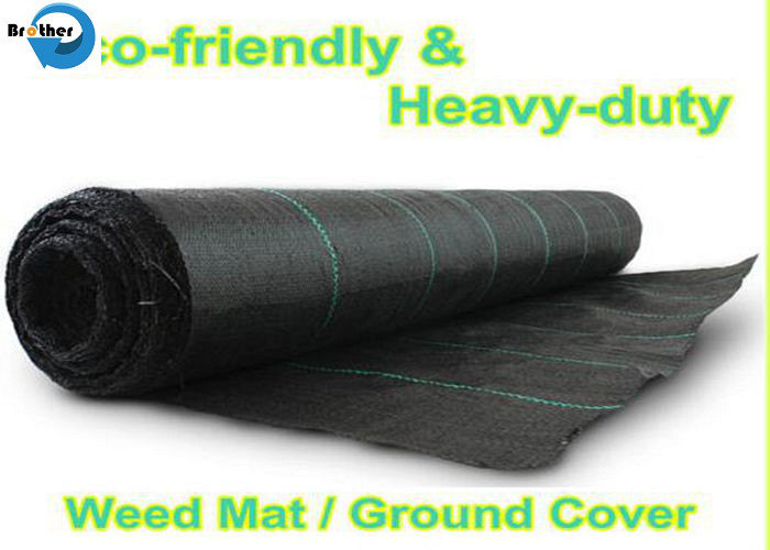 PP Woven Agricultural Ground Cover/Geotextile/Anti Weed Control Fabric