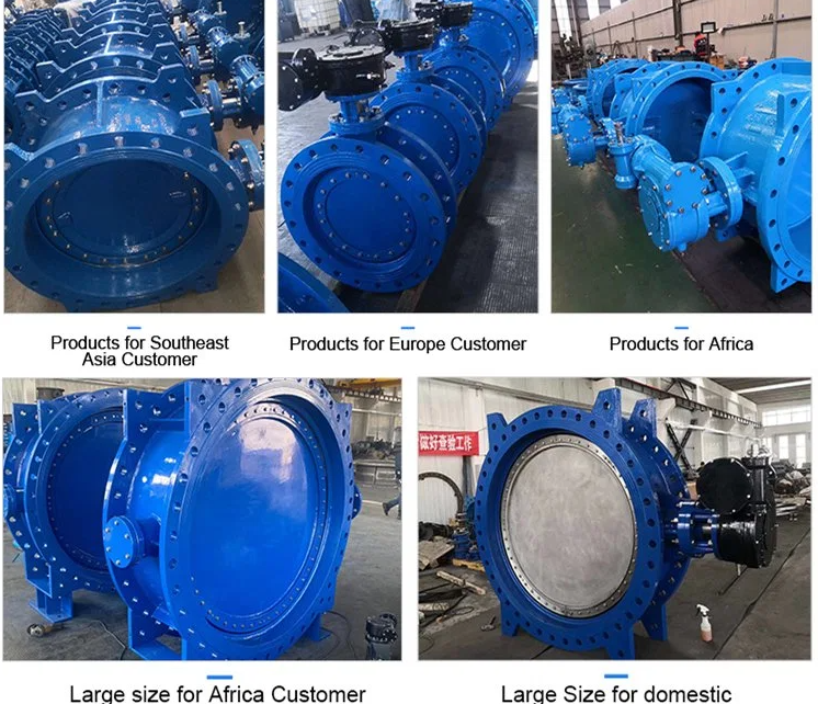 Customized Double Flanged Concentric Eccentric Butterfly Valve for Optimal Performance