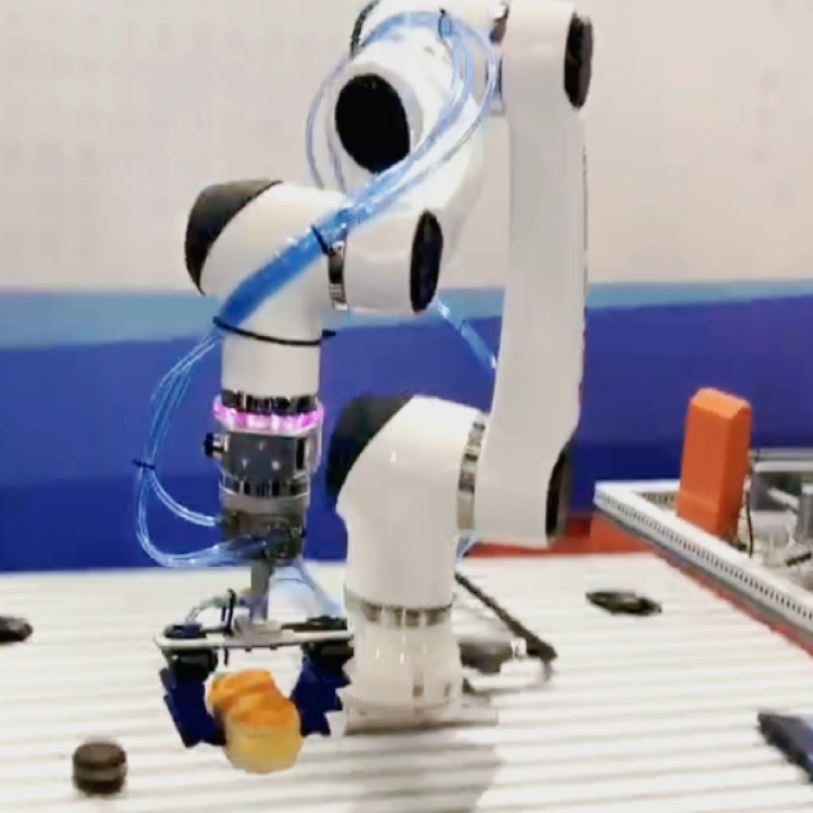 Pick And Place Robot Arm Of Elfin E10-L With 1300mm Reach 0.03mm Repeatability For Assembly Robot