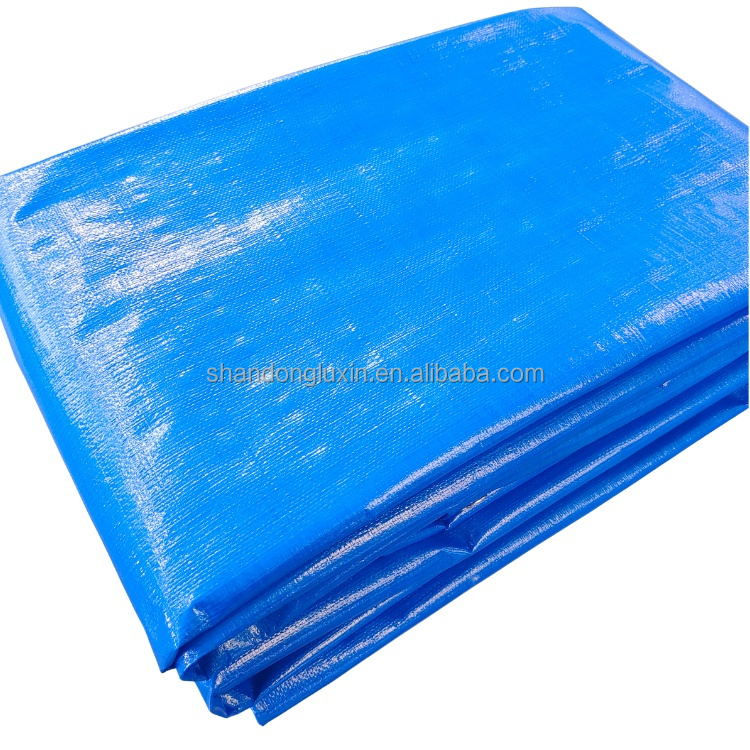 Customized Color Double Faced Pe Tarpaulin Roll for Trucking Covering in Other Fabric