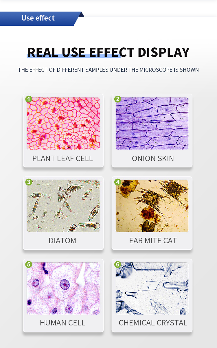Single and Double Electronic Eyepiece Microscope for High Definition Surgical Students