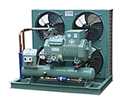Large Energy-saving Cold room for Medicines, Reagents, Vaccines 3