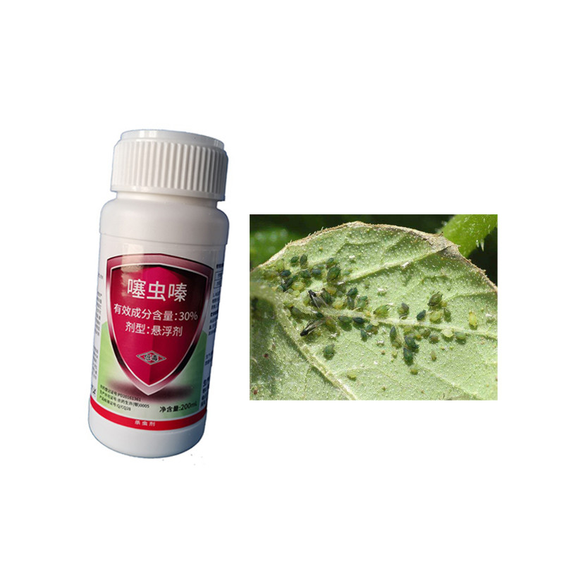 30% Thiamethoxam Kill All Aphid Suitable For Green House Agricultural Pesticide SC
