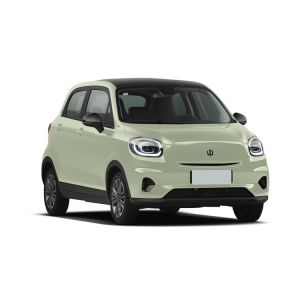  Leapmotor T03 Automobile Electric Suv with 100km/h Max Speed and Left Steering Powered by Lithium Iron Phosphate Battery Manufactures