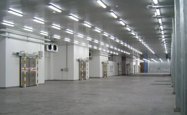 Fast Installation Large Span Steel Structure Warehouse For Industrial