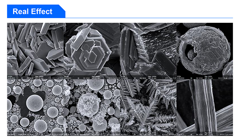 Controled Mouse Scanning Electron Microscope Sem 8x~800000x Magnification