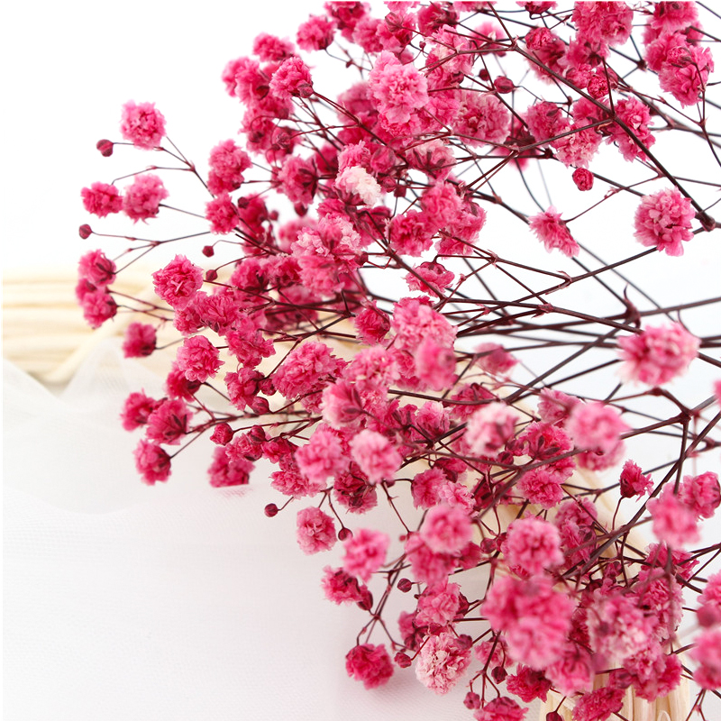 Colorful Dried Baby'S Breath Bouquet , Preserved Baby'S Breath For Gift