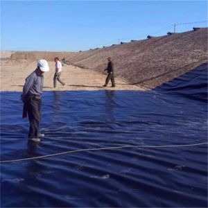 Best HDPE Geomembrane Roll for Fish Liner Durable and Environmentally Friendly