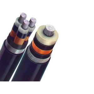 Marine PVC Power Cable Copper Core 2-5 Core 0.6-30KV