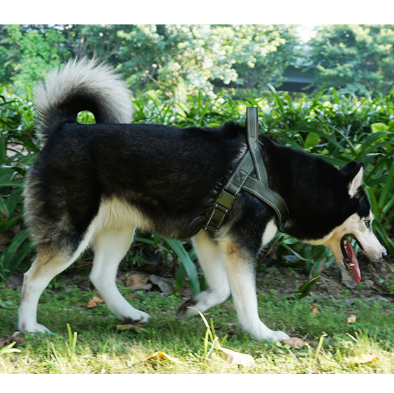 Oem Odm Custom Dog Accessories Leash And Harness Collar Tactical Designer Custom Safety Pet Dog Harness Set Dog Pet Harness