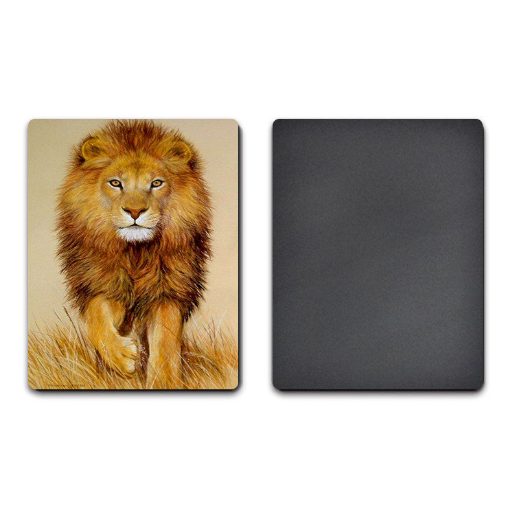 Big Size 3d Lenticular Magnet / 3d Personalised Fridge Magnets Eco Friendly