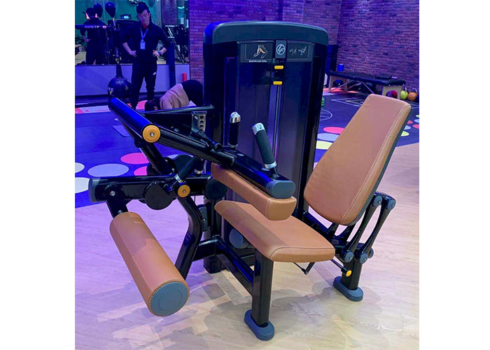Attractive Leg Curl Exercise Machine High Strength Foldable OEM Service